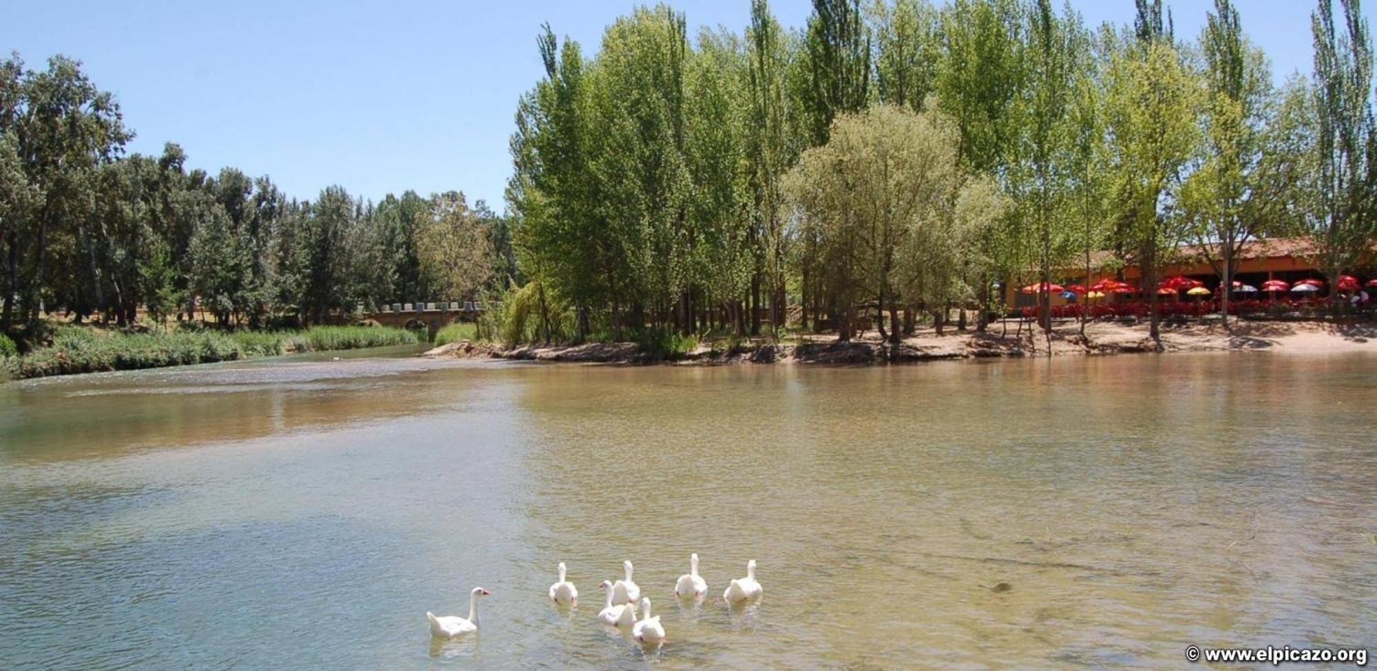 Casa Rural Las Tejas El Picazo Dış mekan fotoğraf